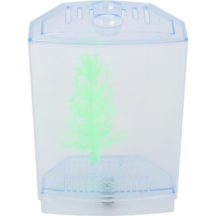 Mini Vis Tank Aquarium Transparant Waterplanten Kweekbak Broedbak Incubator(single) white