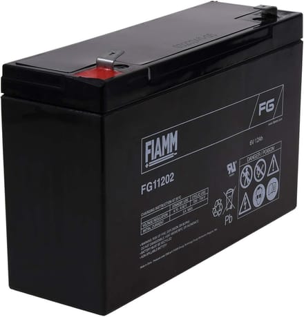 6 Volt Batterij - Oplaadbare Accu - Noodstroom Systemen - Onderhoudsvrij AGM - 12 Ah Capaciteit