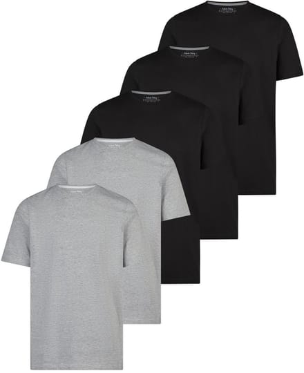 Redmond Heren t-shirt 5 pack Basic