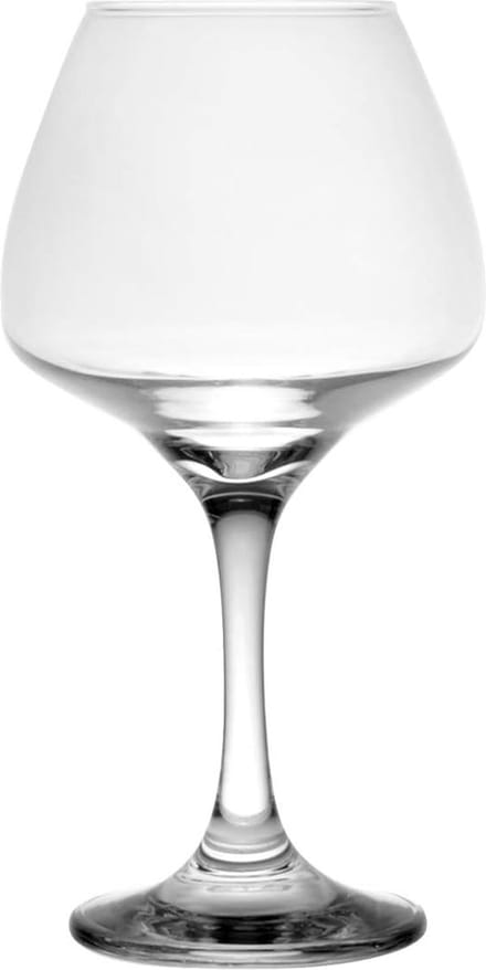Homestar - Risus-wijn glazen - 580cc - 6stuks-glazen - glazen set