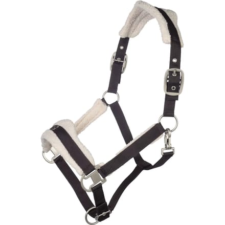 Bont halster voor paard Lauria Garrelli Arezzo