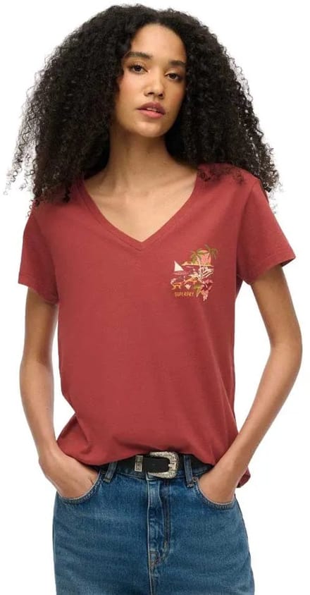 Superdry - Suika metallic relaxt T-shirt met V-hals - Dames - T-shirts