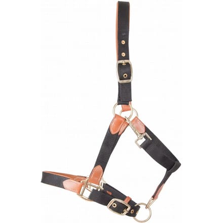 Lederen paardenhalster met riem T de T