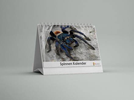 Spinnen Bureau-verjaardagskalender | Spinnen bureaukalender | Spinnen kalender 20x12.5 cm