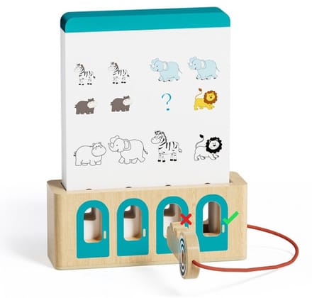 Logical Key Game - expert versie