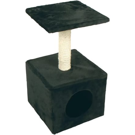 Kattenboom Duvoplus Christa