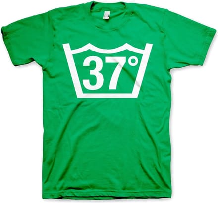 Hybris 37 Celcius Tee T-shirt Groen