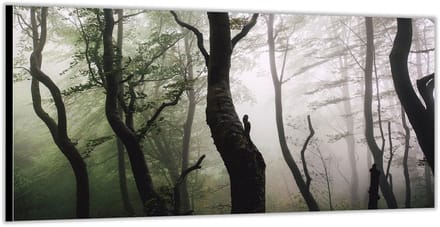 KuijsFotoprint - Schilderij - Mistig Bos - Wit, Groen En Bruin - 100 X 200 Cm