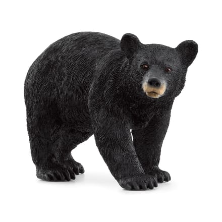 schleich WILD LIFE - Amerikaanse Zwarte Beer - 14869