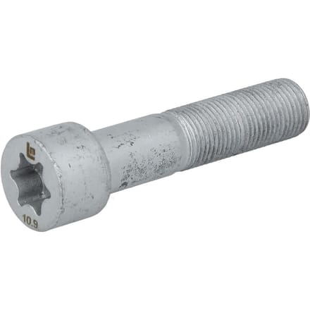 Schroef LEMA 9016042.1