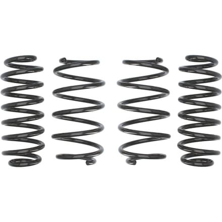 Veren EIBACH Pro Kit E10-79-004-01-22