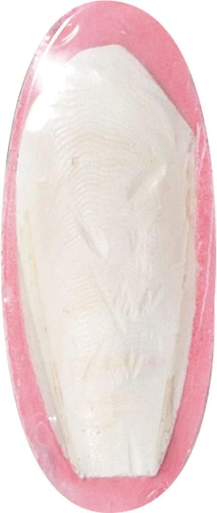 Flamingo - Vogelaccessoire Sepia Schelp Aardbei - 12 cm