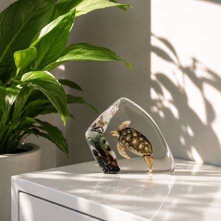 Mats Jonasson Schildpad Glas - Diverse Kleuren - Voor Binnen - Staand
