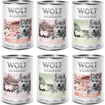 Wolf of Wilderness Junior 'Expedition' 6 x 400 g