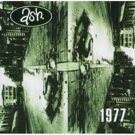 1977 - Ash