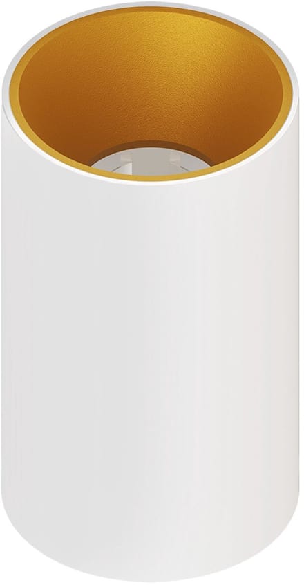 Ledvion – LED Opbouwspot Rond ø80mm – Wit / Goud – Dimbaar – GU10 – IP20