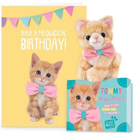Studio Pets® set mini knuffel rode kat Tommy 8 cm met verjaardagskaart – kat knuffel cadeau voor kinderen