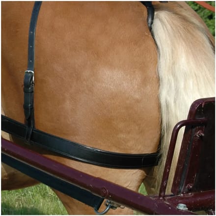 Dijriem voor paarden Chetak