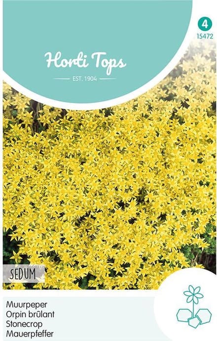 Hortitops zaden - Muurpeper Bloemzaad - Sedum Acre - Geel