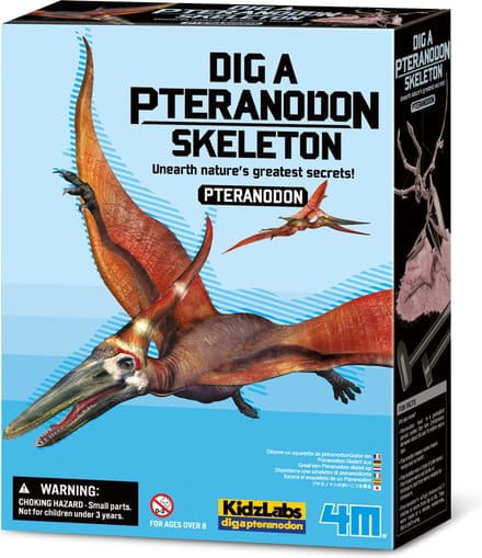 4M Graaf Je Dino Op - Pteranodon - Opgraafkit En Modelbouw Skelet - KidzLabs - 8 Jaar