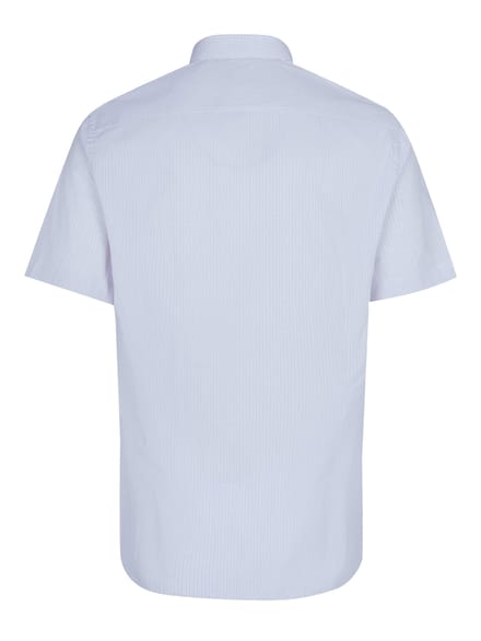 Pal Zileri-shirt