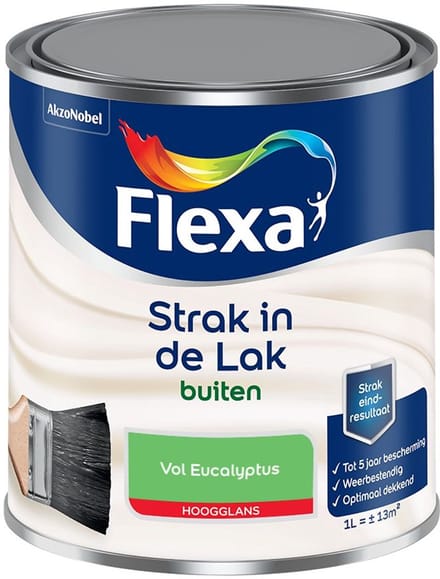 Flexa - Strak In De Lak Buitenlak Hoogglans - Vol Eucalyptus - Mengverf - 1 L