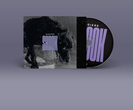 Shook - Algiers