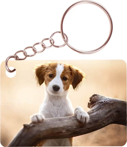 Sleutelhanger 6x4cm - Kooikerhondje Pup