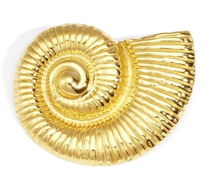 Borche haarspeld met spiraalschelp