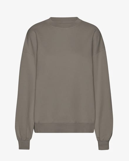 Oversized sweatshirt Colorful Standard Misty Brown