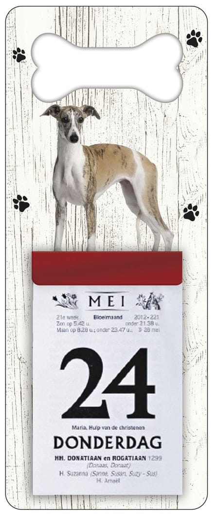 Scheurkalender 2027 Hond: Greyhound