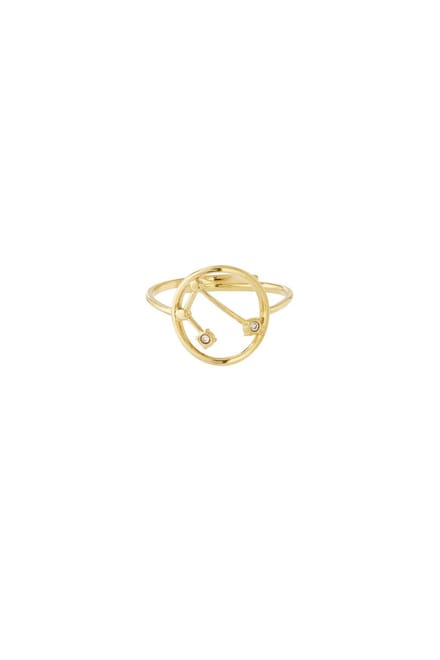 12 zodiac-ringen - Goudkleur
