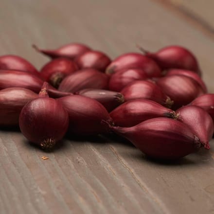 Plantui - Red Baron - 500 gram - Rood - Uien voor Tuin - Bollen om te Planten - Voor de Moestuin
