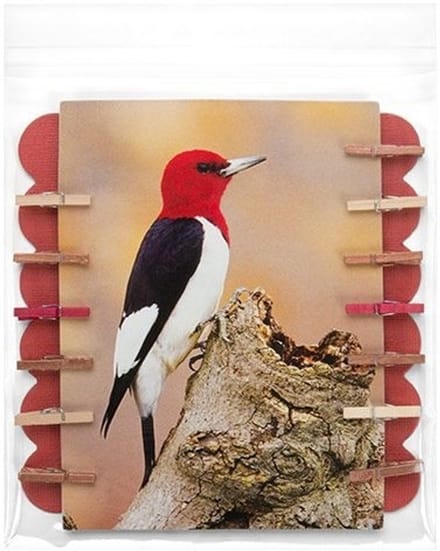 Plastic Zakken 14,5x14,1cm Transparant en Hersluitbaar (100 stuks) | Plastic zak