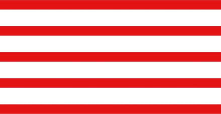 Vlag Haacht 100x150cm