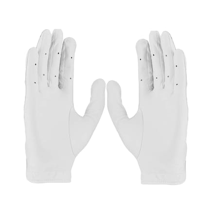 Nike Dames/Dames Tour Classic III Leder 2020 Rechtshandige Golfhandschoen (Wit/zwart)
