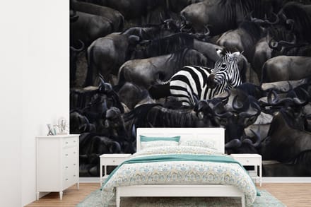 Behang - Fotobehang Zebra - Dieren - Close up - Breedte 385 cm x hoogte 280 cm
