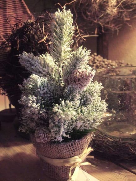Kerstboompje met dennenappels 2 stuks