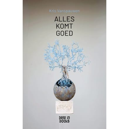 Alles Komt Goed - Kris Vanspauwen