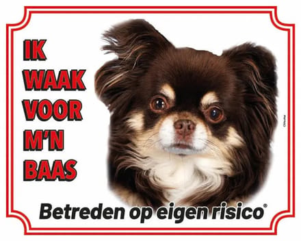 Chihuahua Langhaar Zwart Waakbord