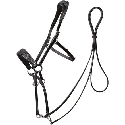 Bitloze hoofdstellen voor paarden Edix Saddles ED1-Rose