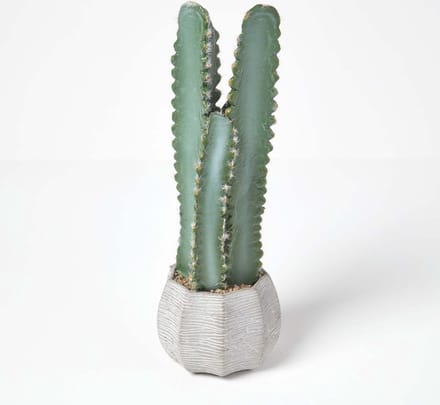 Homescapes Kunstcactus Hylocereus in cementpot, 49 cm hoog