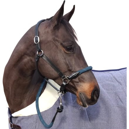 Touwhalster met witte gespen Canter