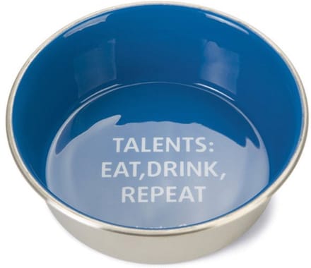 Beeztees Eetbak Rvs Talents Hond Blauw - Hondenvoerbak - Ø16x5 cm