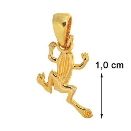 Blinx Jewels Vergulden Hanger Kikker