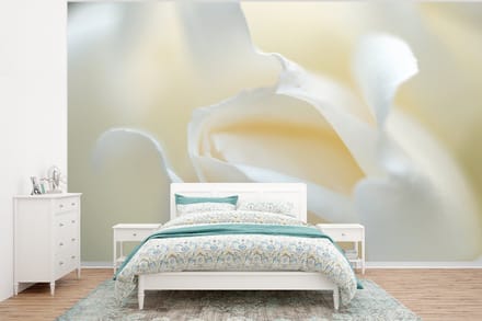 Behang - Fotobehang Rozen - Bloemen - Wit - Breedte 375 cm x hoogte 280 cm