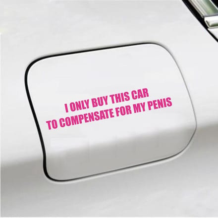 Bumpersticker - I Only Buy This Car - 3,5 X 19,6 - Roze