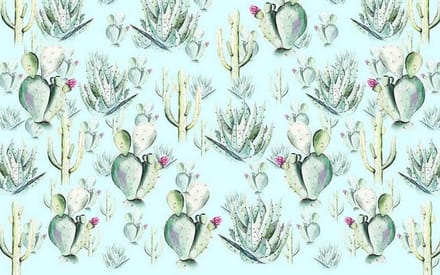 Fotobehang - Cactus Blue 400x250cm - Vliesbehang