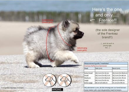 Frenkiez reflective no pull lockable harness, pink, Large
