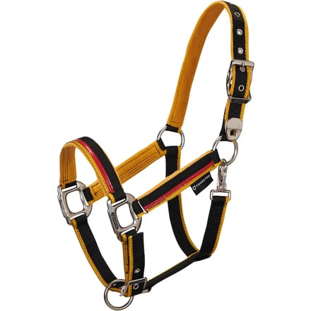 Nylon halster en longe voor paard in nylon Equestro